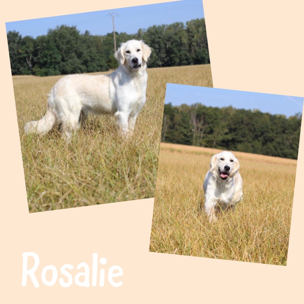 Rosalie (Sans Affixe)