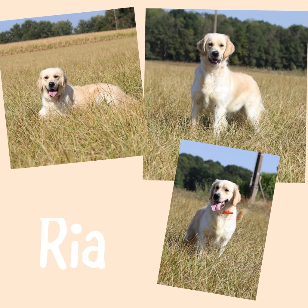 Ria (Sans Affixe)