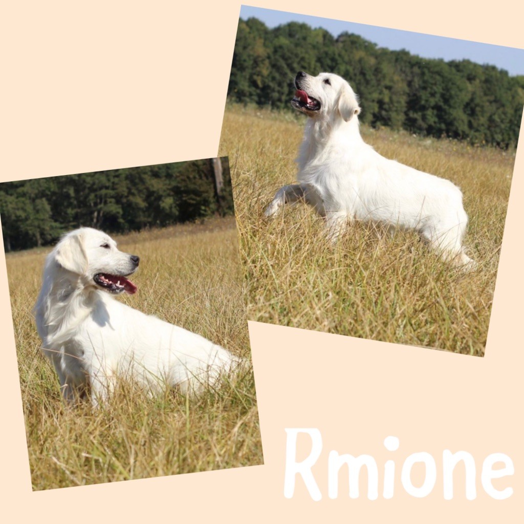 R,mione (Sans Affixe)