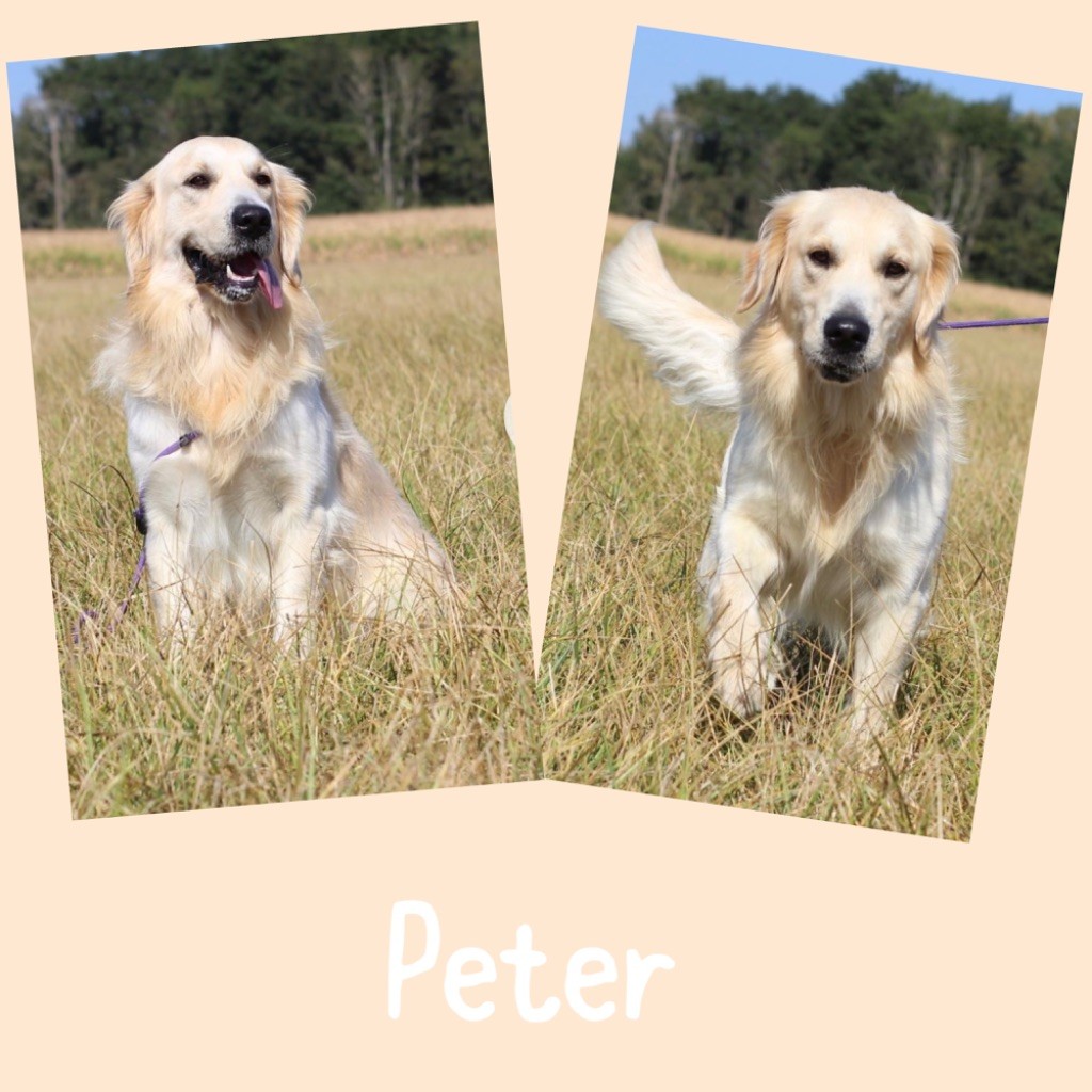 Peter (Sans Affixe)