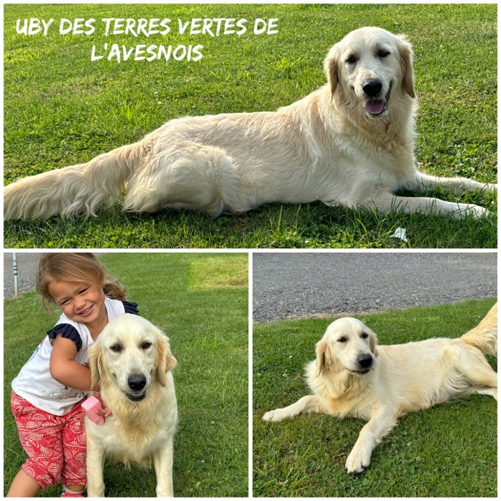 Uby Des Terres De L'Avesnois