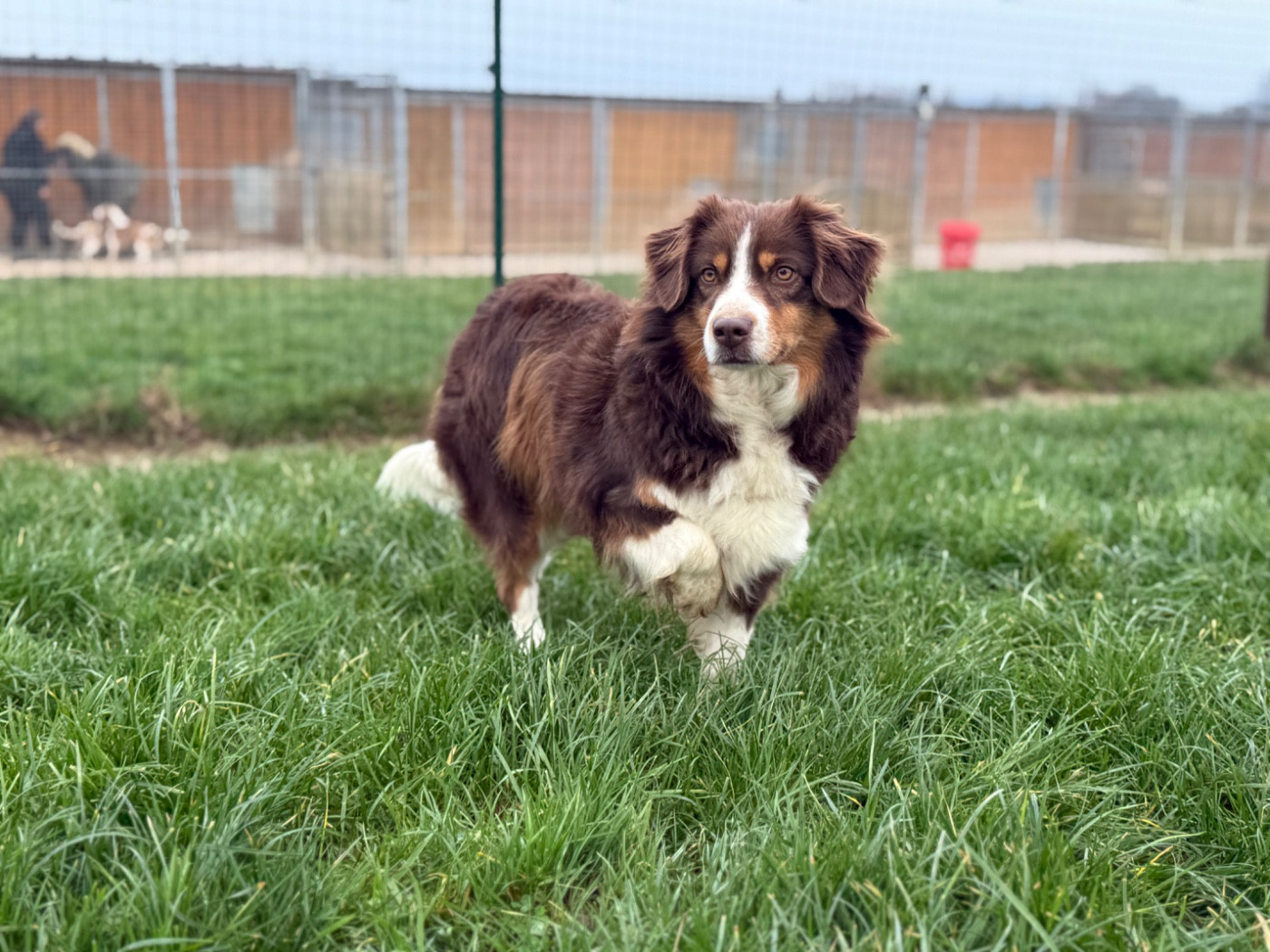 Selfie Des Terres De L'Avesnois