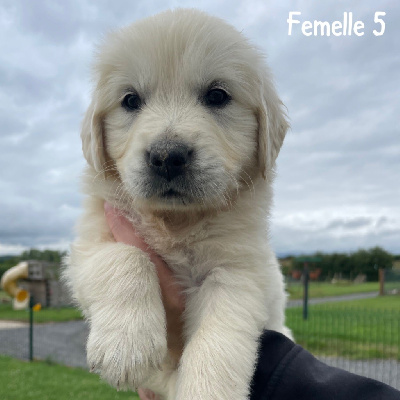 Femelle 5 