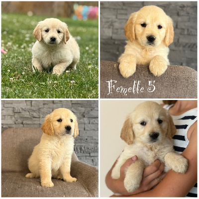 Femelle 5 